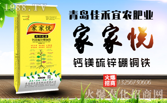 1988.TVϲӭ�����������u�Ѻ����r(n��ng)�ʘI(y��)��(qi��ng)�݁��u