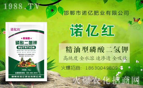 ���r(n��ng)���W(w��ng)ϲӭ�����ѣ��y�����Z�|�ʘI(y��)����ؔ(c��i)��֮·