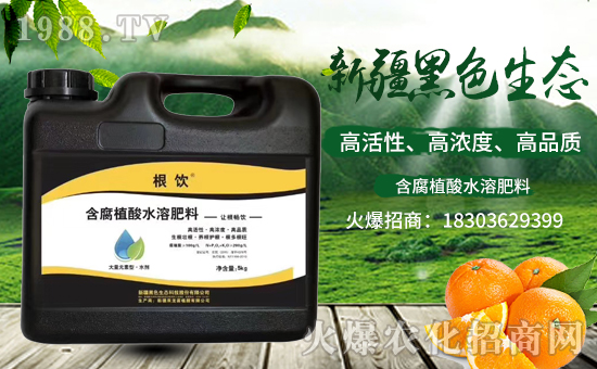 �½���ɫ���B(t��i)�������v���r(n��ng)�����̾W(w��ng)�����F(xi��n)��I(y��)�°l(f��)չ��