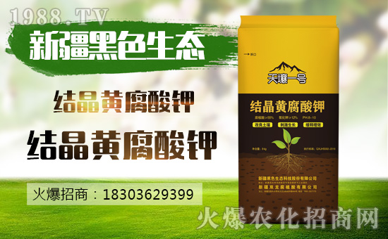 �½���ɫ���B(t��i)�������v���r(n��ng)�����̾W(w��ng)�����F(xi��n)��I(y��)�°l(f��)չ��