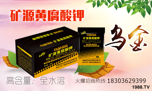 �½���ɫ���B(t��i)�������v���r(n��ng)�����̾W(w��ng)�����F(xi��n)��I(y��)�°l(f��)չ��