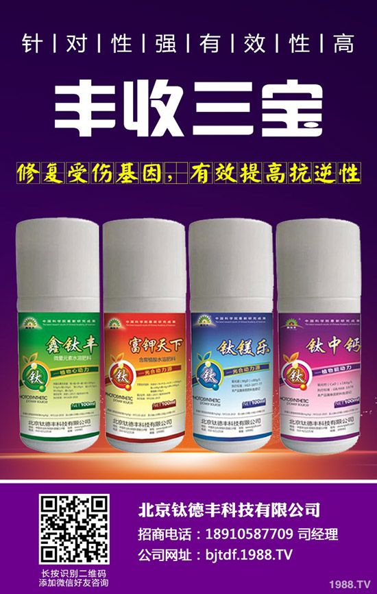 大蒜如何施肥才能高產(chǎn)，大蒜高產(chǎn)施肥技術(shù)！