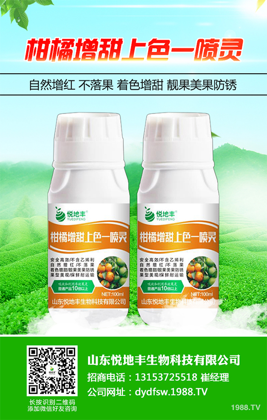 西蘭花該怎么種植？西蘭花高產(chǎn)種植技術(shù)要點