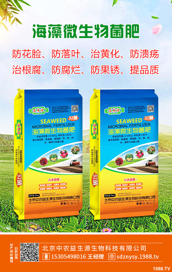 ����ʲô�r��Nֲ������һ����³�����