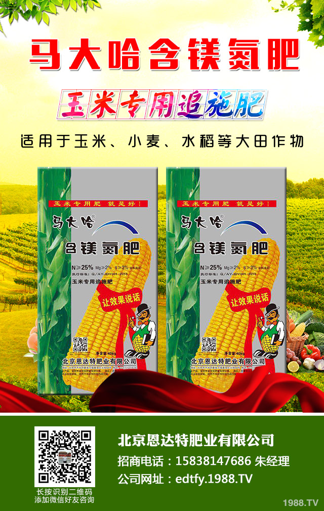 ���[��������ô���������[�������ɹ���