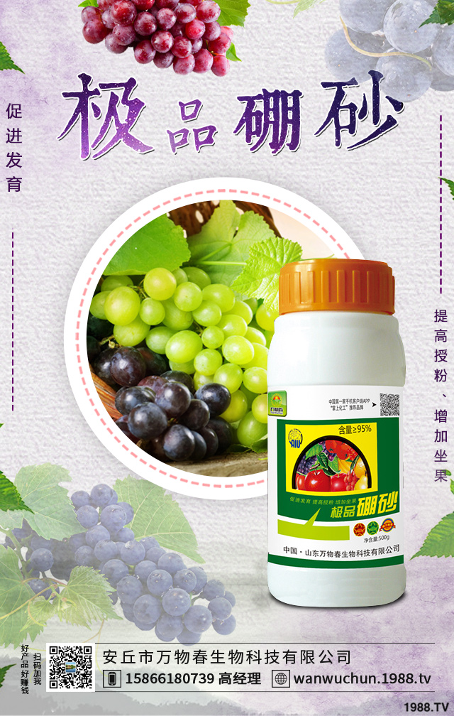 ����������ѵķ����������������ӷ�����������