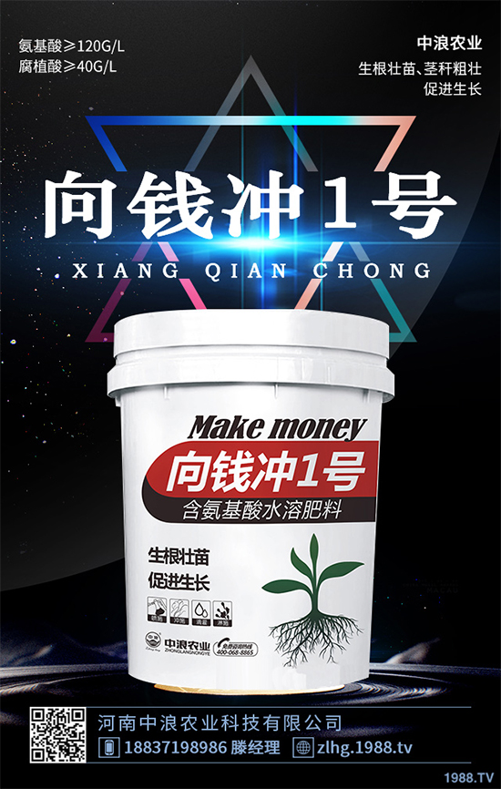 芥菜什么時候種植效益更好？芥菜高產(chǎn)種植技術(shù)要點(diǎn)