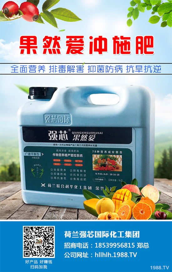 芥菜種植需要注意什么？芥菜高效種植技術(shù)及管理事項(xiàng)