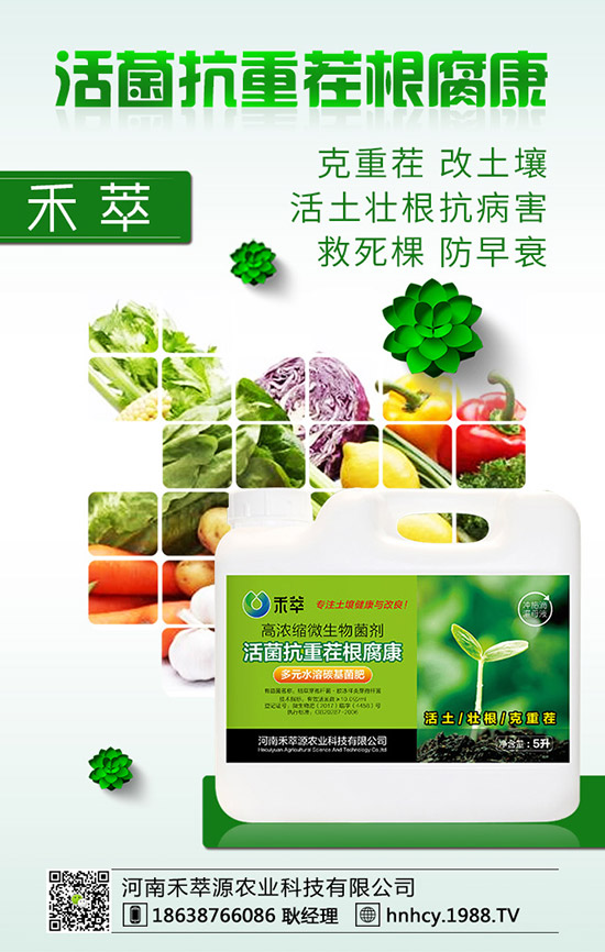 三角梅怎么嫁接？三角梅嫁接方法！