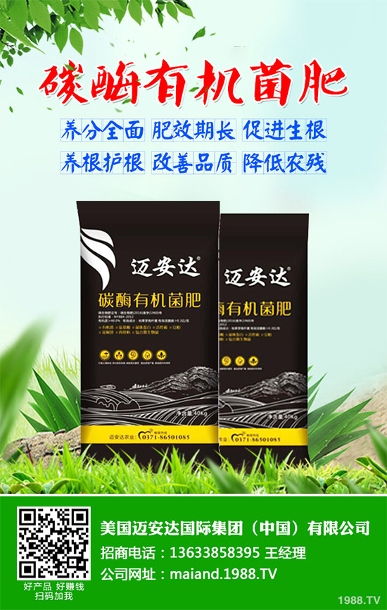     花椒樹(shù)的種植時(shí)間，花椒樹(shù)怎么種？