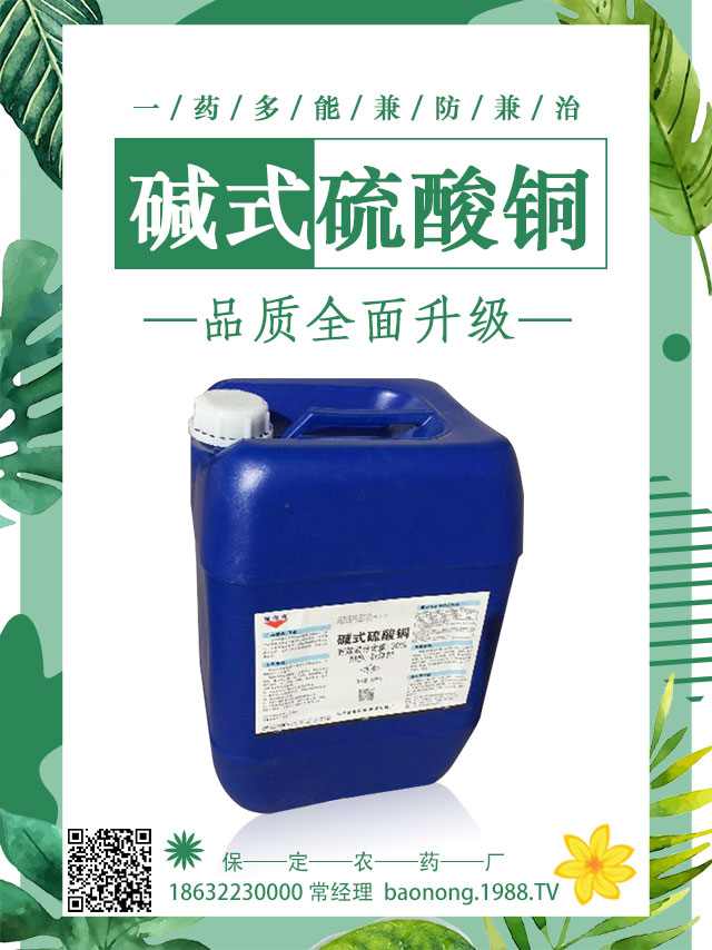 茄子土傳病害怎么辦?茄子嫁接可避免土傳病害