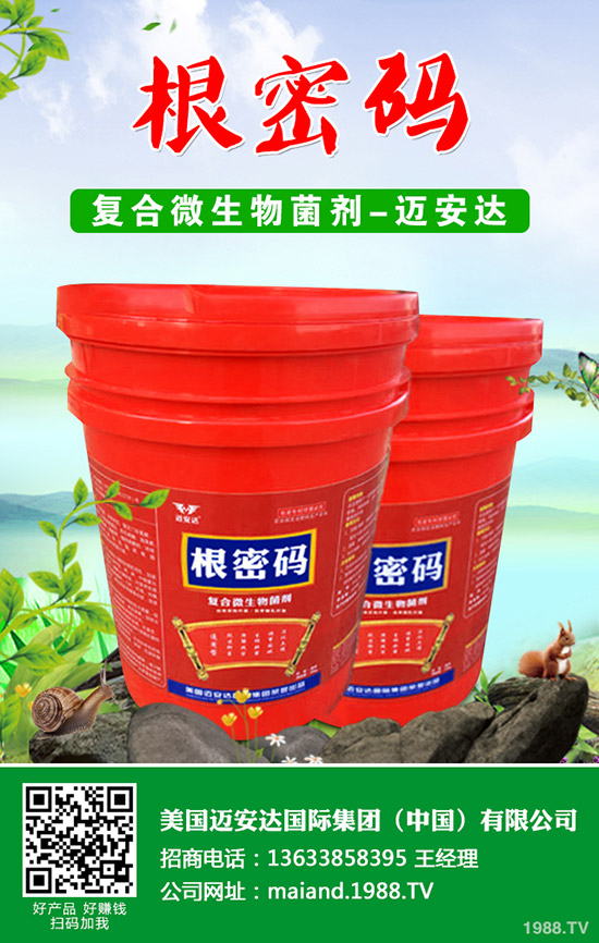 西葫蘆什么時候種植？西葫蘆種植技術(shù)！