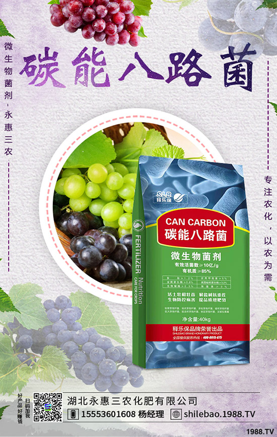     花菜什么時(shí)候種植合適？花菜種植時(shí)間及種植管理技術(shù)！