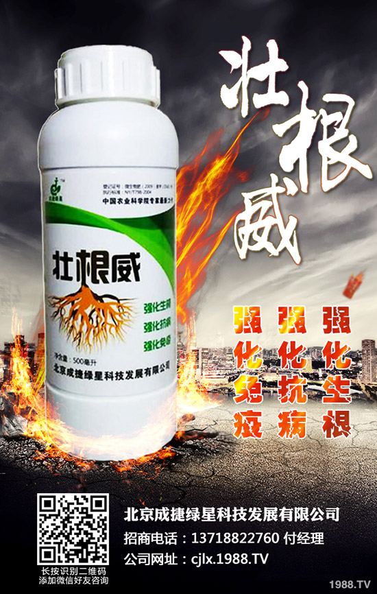 青椒的種植方法有哪些？青椒種植過(guò)程中需要注意的幾大問(wèn)題