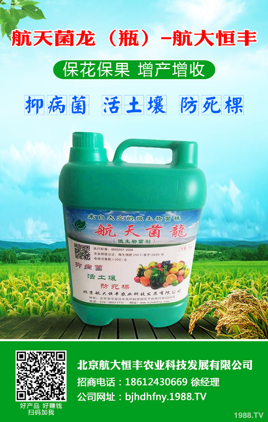 青蘿卜什么時(shí)候種植，青蘿卜栽培要點(diǎn)！