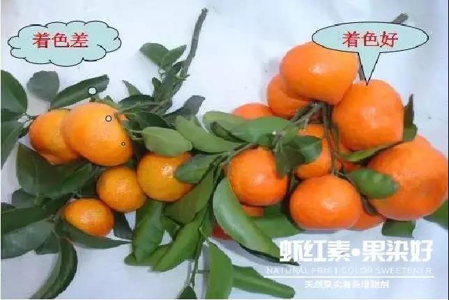 天然果實(shí)著色增甜劑——蝦紅素●果染好！