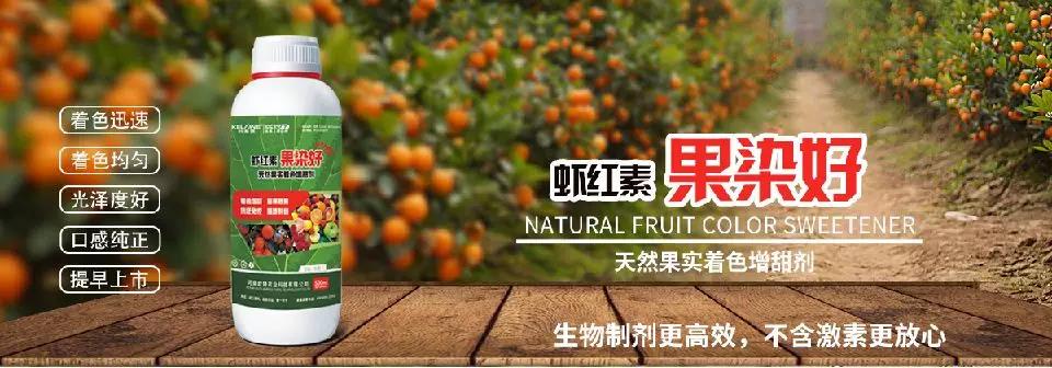 天然果實(shí)著色增甜劑——蝦紅素●果染好！