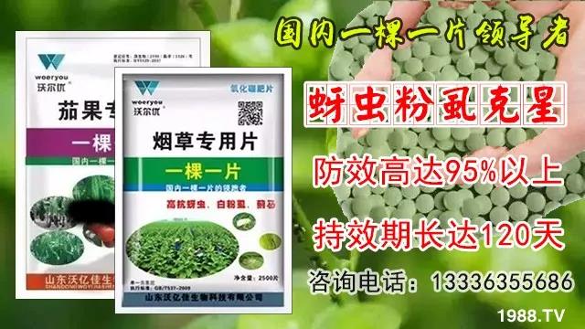 蚜蟲、飛虱防不??？一片藥輕松搞定！預(yù)防率95%，持效長達120天！