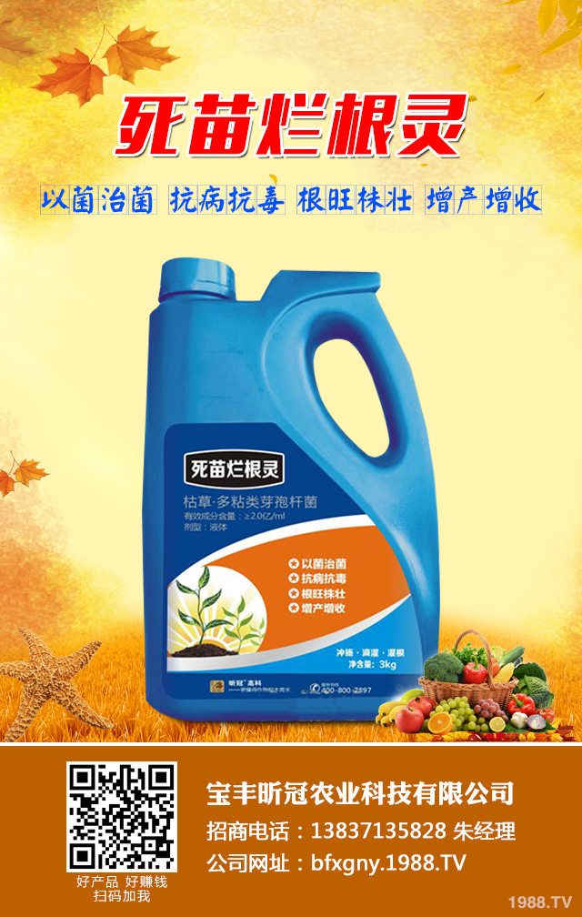 蔬菜苗期立枯病怎么辦？蔬菜苗期立枯病防治技巧