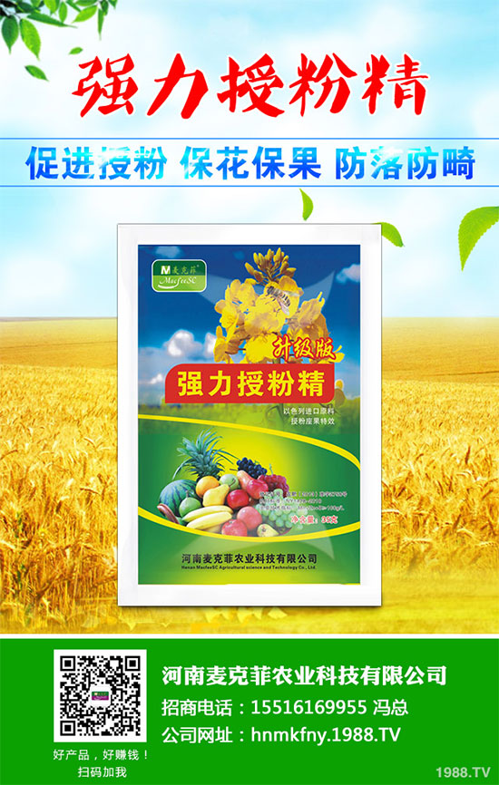 芥菜有哪些營養(yǎng)價值？吃芥菜有哪些好處？芥菜的功效與作用