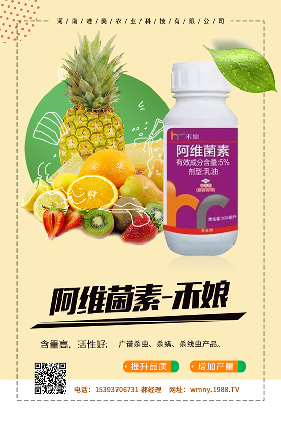 秋葵怎么種植？秋葵的種植技術(shù)