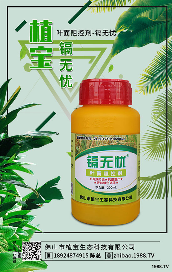 秋季大蔥什么時間種植？2019秋茬大蔥種植技術(shù)指南