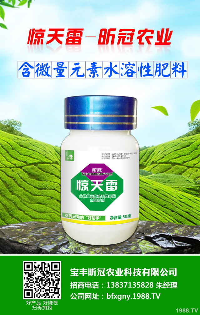 黃瓜葉燒怎么辦?黃瓜葉燒的預(yù)防措施