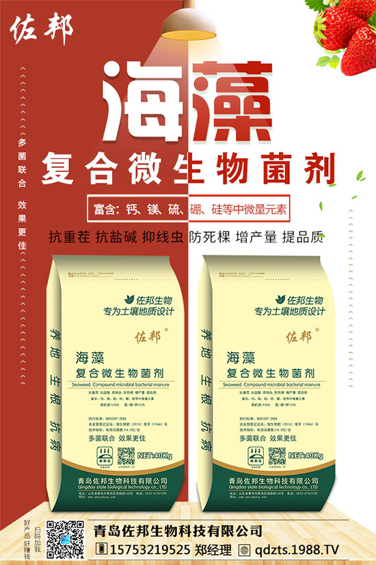 紫薯如何種植？紫薯種植方法和注意事項(xiàng)！