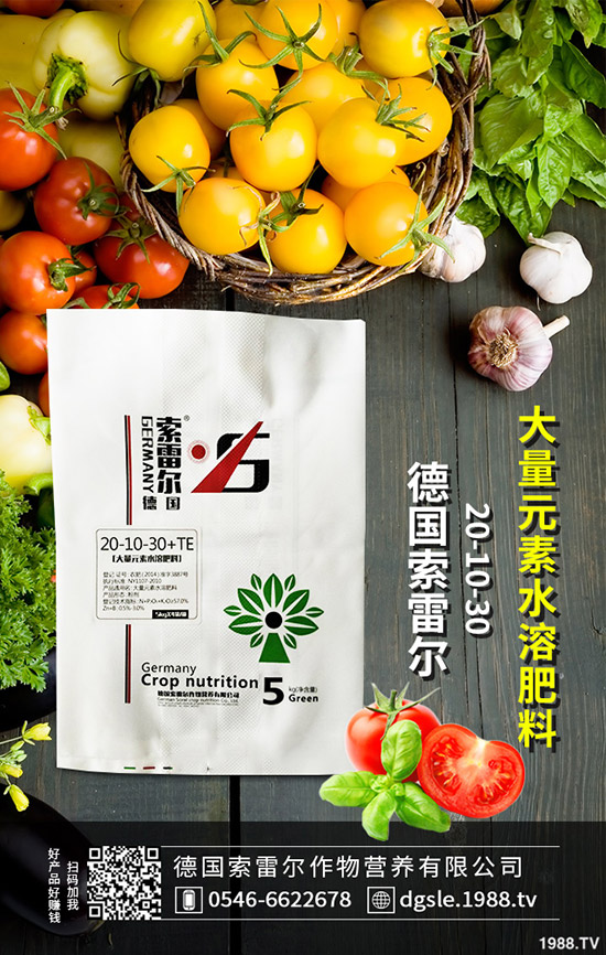 如何防治辣椒花葉?辣椒花葉病的防治措施!