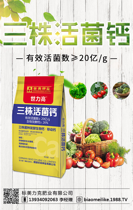 秋黃瓜什么時(shí)候栽培好,秋黃瓜栽培的注意事項(xiàng)!