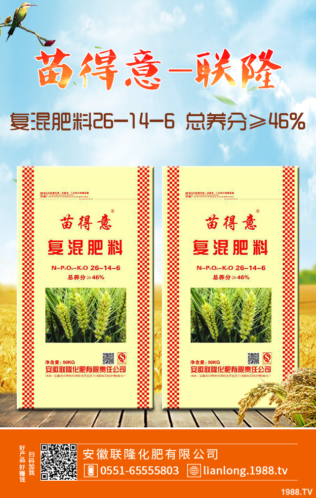 小麥怎么管理效果好？小麥成熟期田間管理