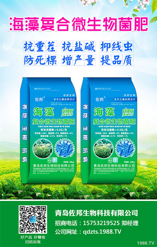 大蔥該如何施肥才能高產(chǎn)？大蔥高產(chǎn)施肥技術(shù)