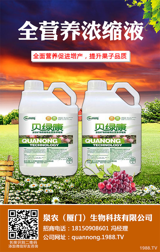 大蔥常見病蟲害有哪些？該如何防治？大蔥病害防治技術(shù)