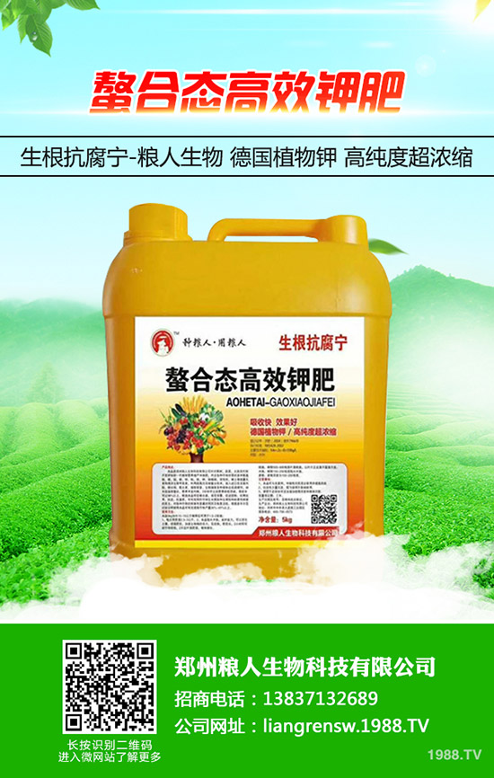 金銀花如何施肥，金銀花高產(chǎn)施肥要點(diǎn)！