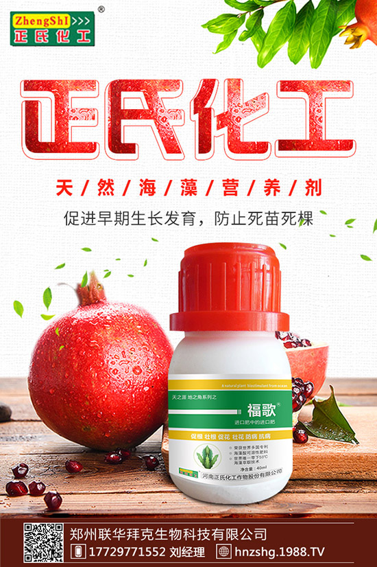 金銀花有什么作用，金銀花的功效與食用禁忌！