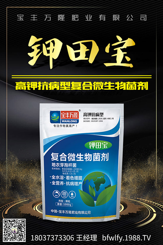 大蒜如何管理才能高產(chǎn),大蒜高產(chǎn)管理技術(shù)!