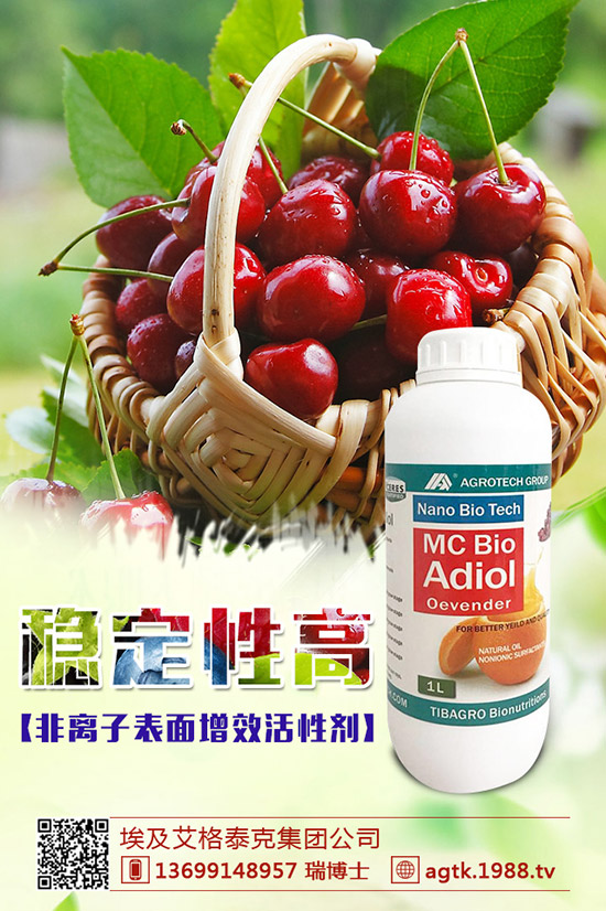 ���y�����ӷN�������y���NֲҪ�c(di��n)��