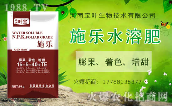 合作再升級,河南寶葉攜手1988.TV,打造網(wǎng)絡(luò)招商奇跡!