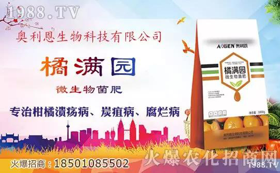 �W�����������v���r(n��ng)���W(w��ng)���_���W(w��ng)�j(lu��)������������