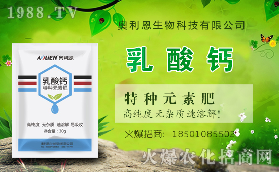 �W�����������v���r(n��ng)���W(w��ng)���_���W(w��ng)�j(lu��)������������