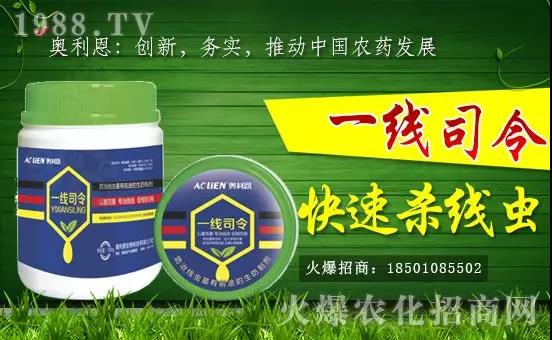 �W�����������v���r(n��ng)���W(w��ng)���_���W(w��ng)�j(lu��)������������