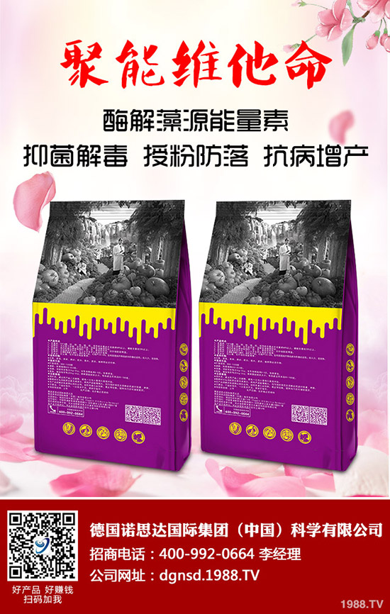     近期國內一銨價格走勢分析及后市預測2019-9-18