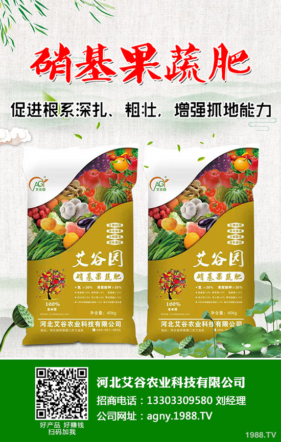 花椰菜與西蘭花的營養(yǎng)價(jià)值有什么不同，花椰菜西蘭花的區(qū)別有哪些？