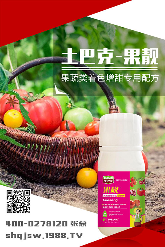 南瓜種植時(shí)間是什么時(shí)候?南瓜的播種方法及栽培技術(shù)!