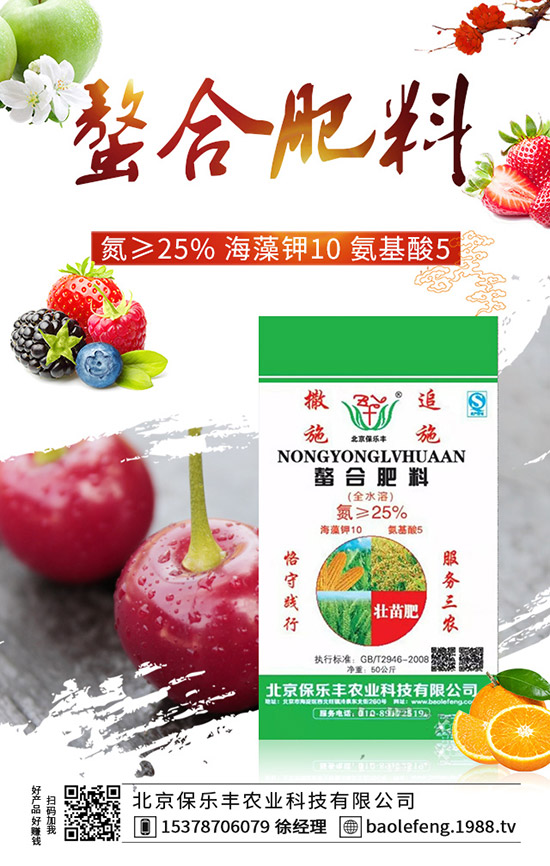 ���t����δ��~�����t�����~���ɼ�ע�����