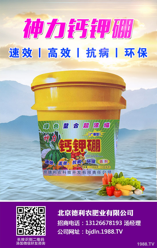 茄子怎么播種？茄子的高產(chǎn)種植方法！