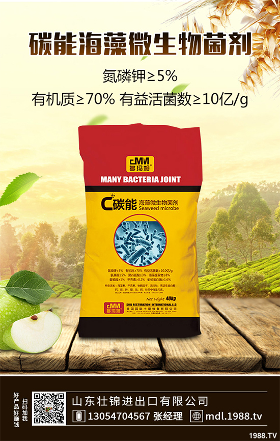 大蔥紫斑病有哪些危害？是如何引起的？大蔥紫斑病的防治措施