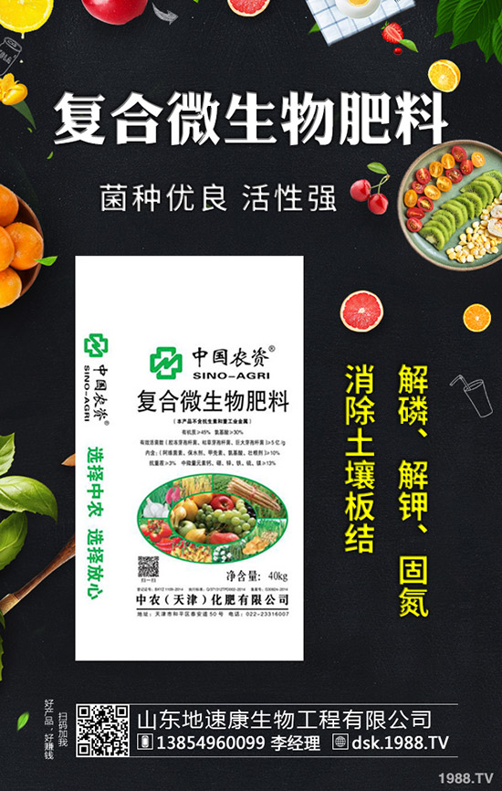     秋芹菜什么時(shí)間定植合適？秋芹菜種植時(shí)間及種植技術(shù)！