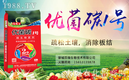 �������x������(j��)���ĳǰ�΢���m(x��)ǰ�����y���r(n��ng)���W(w��ng)����(chu��ng)���x����