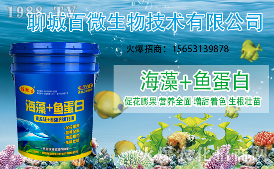 �������x������(j��)���ĳǰ�΢���m(x��)ǰ�����y���r(n��ng)���W(w��ng)����(chu��ng)���x����